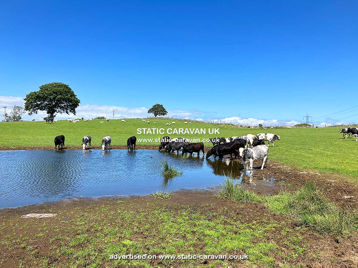 Erw, Erw Farm, Rhostryfan, Caernarfon, Gwynedd, North Wales