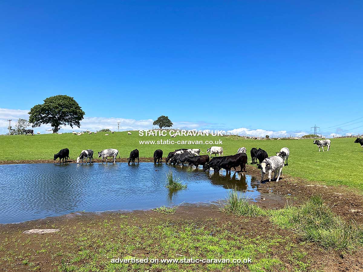 Erw, Erw Farm, Rhostryfan, Caernarfon, Gwynedd, North Wales