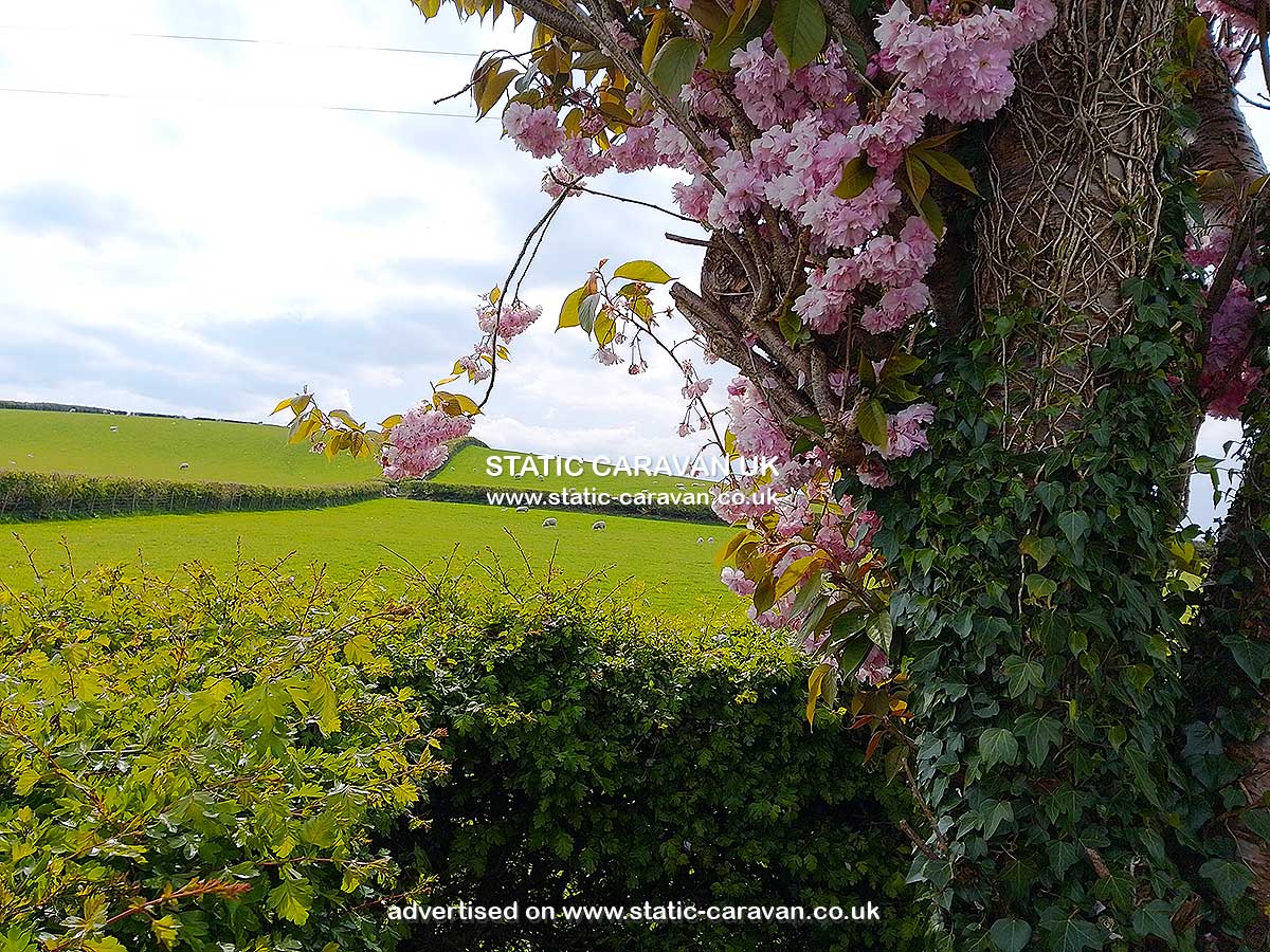 Caravan for hire Caravan 2 at New House Farm, Yealand Redmayne, Carnforth, Lancashire