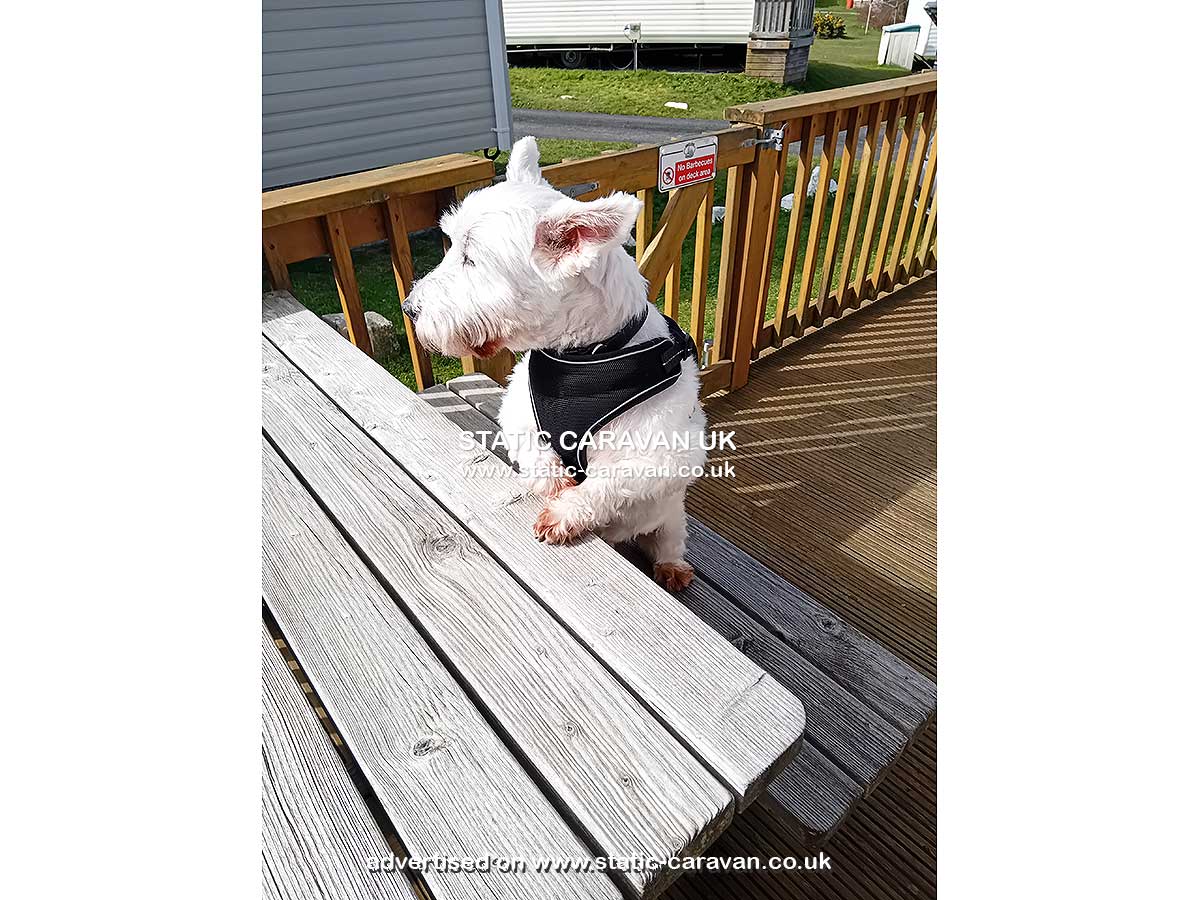 17 Perranporth Holidays, Perran Sands, Perranporth, Cornwall