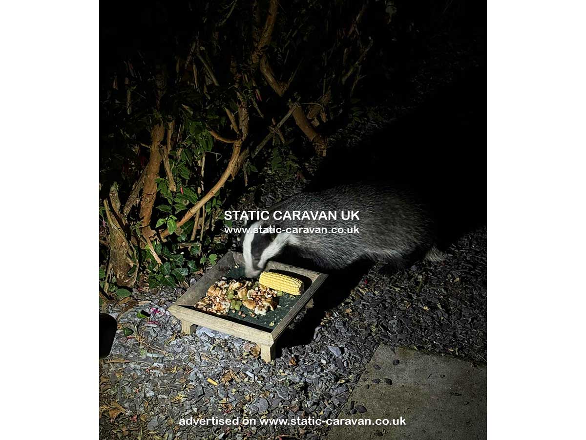 Squirrels Retreat, Aberdunant Hall, Porthmadog, Gwynedd, North Wales