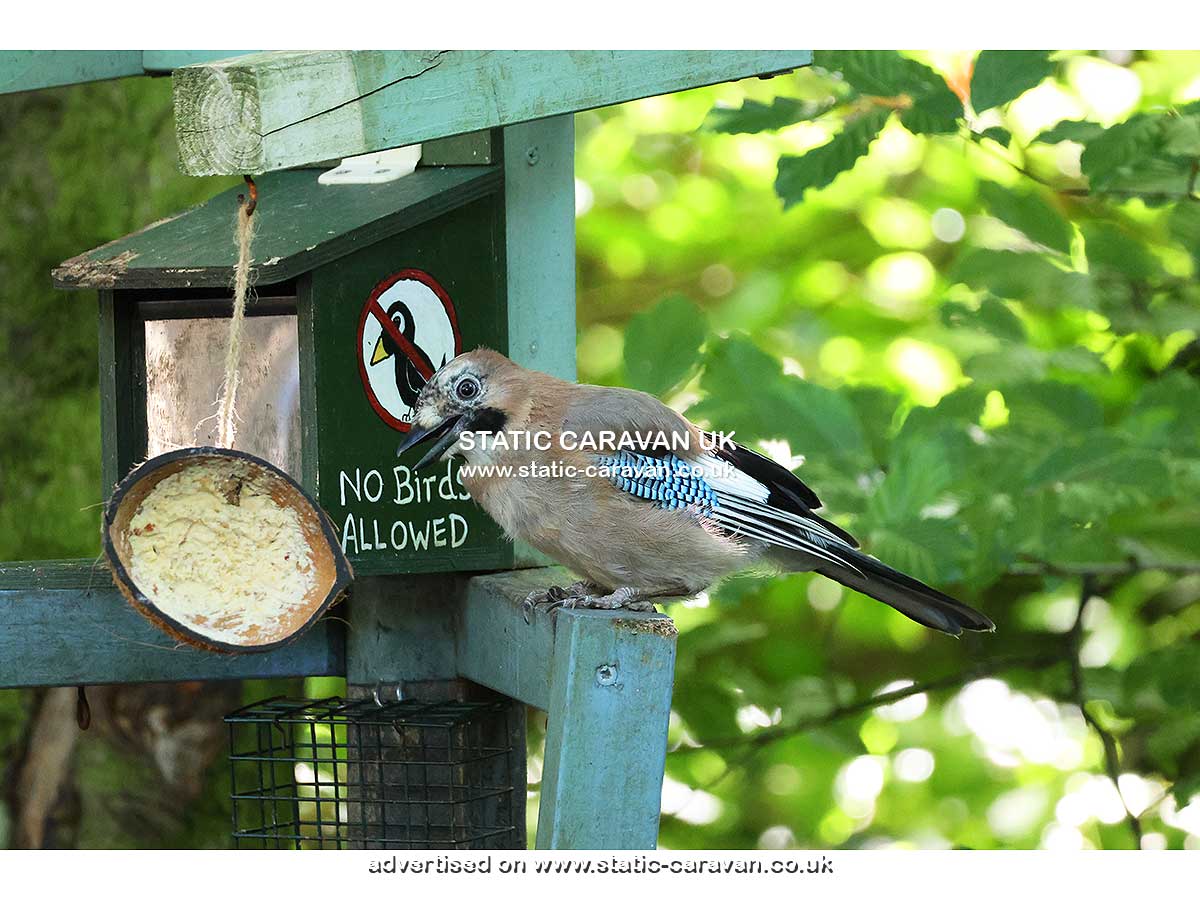 Squirrels Retreat, Aberdunant Hall, Porthmadog, Gwynedd, North Wales