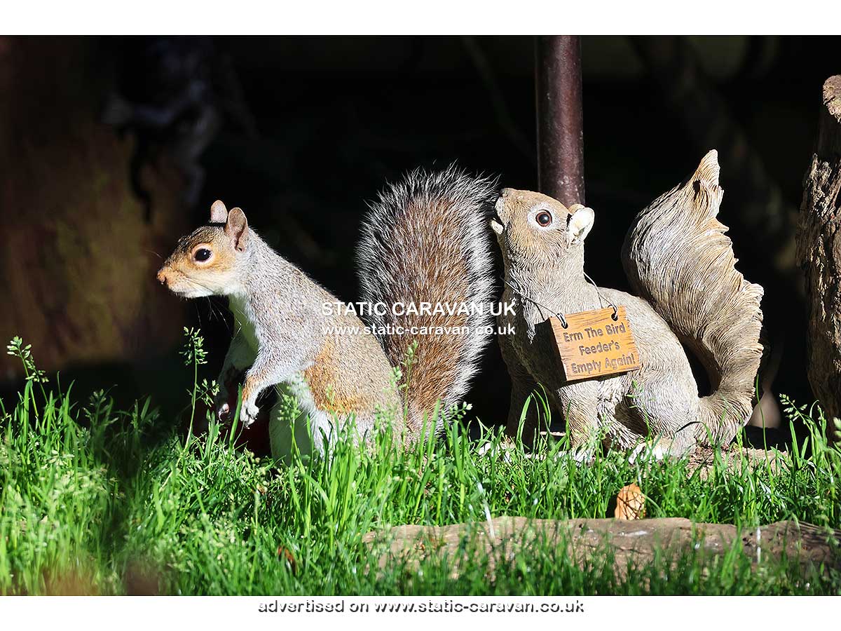Squirrels Retreat, Aberdunant Hall, Porthmadog, Gwynedd, North Wales