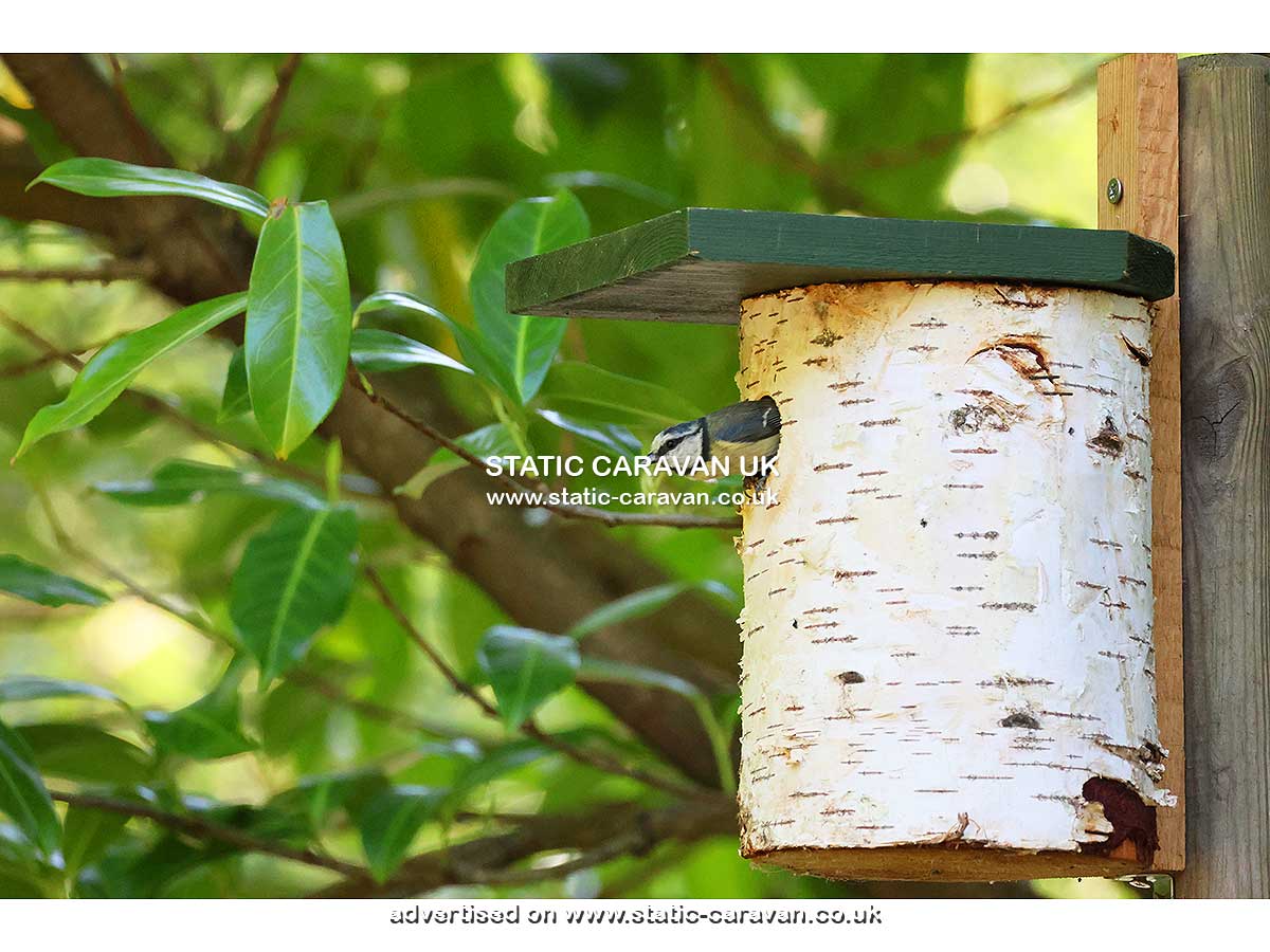 Squirrels Retreat, Aberdunant Hall, Porthmadog, Gwynedd, North Wales