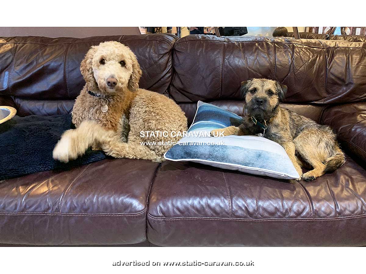 Caravan for hire 28 The Glade at St Minver Holiday Park, Wadebridge, Nr Padstow, Cornwall