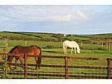 Llanfwrog, Llanfaethlu, Holyhead, Anglesey, North Wales