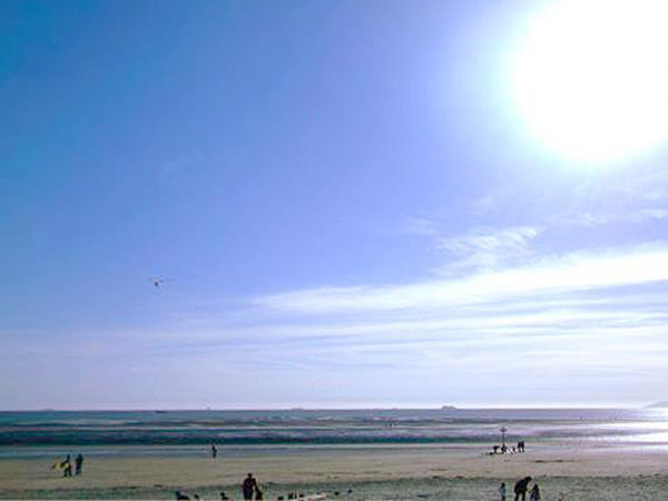 Walnut Tree Holiday Park West Wittering